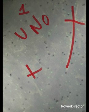 HACES HÉROES Y DIOSES POR CULPA DE LA TV TE LOS METE ES UN CANCER LA TELEVISIÓN Y HAY QUE TERMINARLA TUVO SU AUGE DESPUÉS DE LA SEGUNDA GUERRA MUNDIAL Y EN MX EN LOS 60S TE ENAMORAS POR EL BOMBARDEO CONSTANTE DE LA TV TU PIERDES EL CONTROL Y ELLOS GANAN
