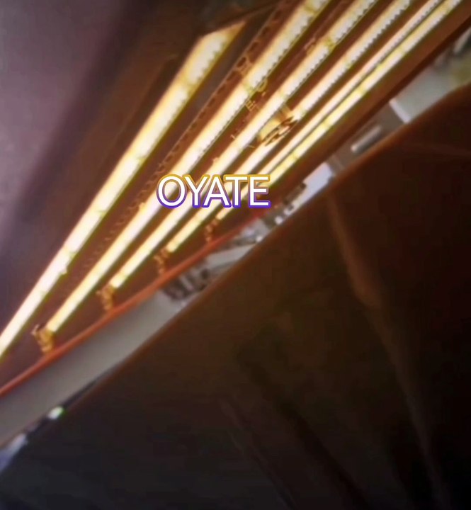 Factory Supply Quartz Glass Infrared Halogen Heater Lamp 1500w Heating Element