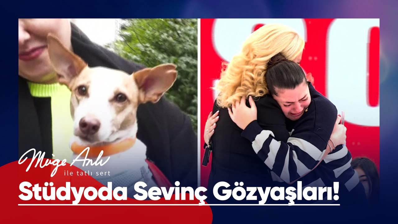 Kayıp can dostumuz Müge Anlı'da bulundu! - Müge Anlı ile Tatlı Sert 26 Aralık 2025