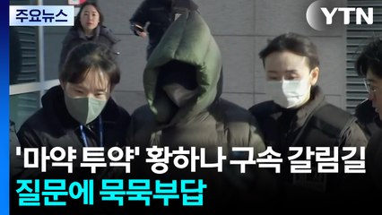 '마약 투약' 황하나 구속 갈림길...질문에 묵묵부답 / YTN