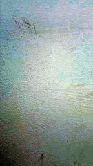 🔥🔥🔥 [Hot 2025-30-12]Alpha's Miracle Luna🌍💜🌹EA FilmBox🍏🚩🔥 11.11