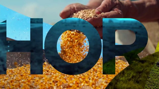 Mariana Grilli: Consumo de frutas secas cresce no fim de ano