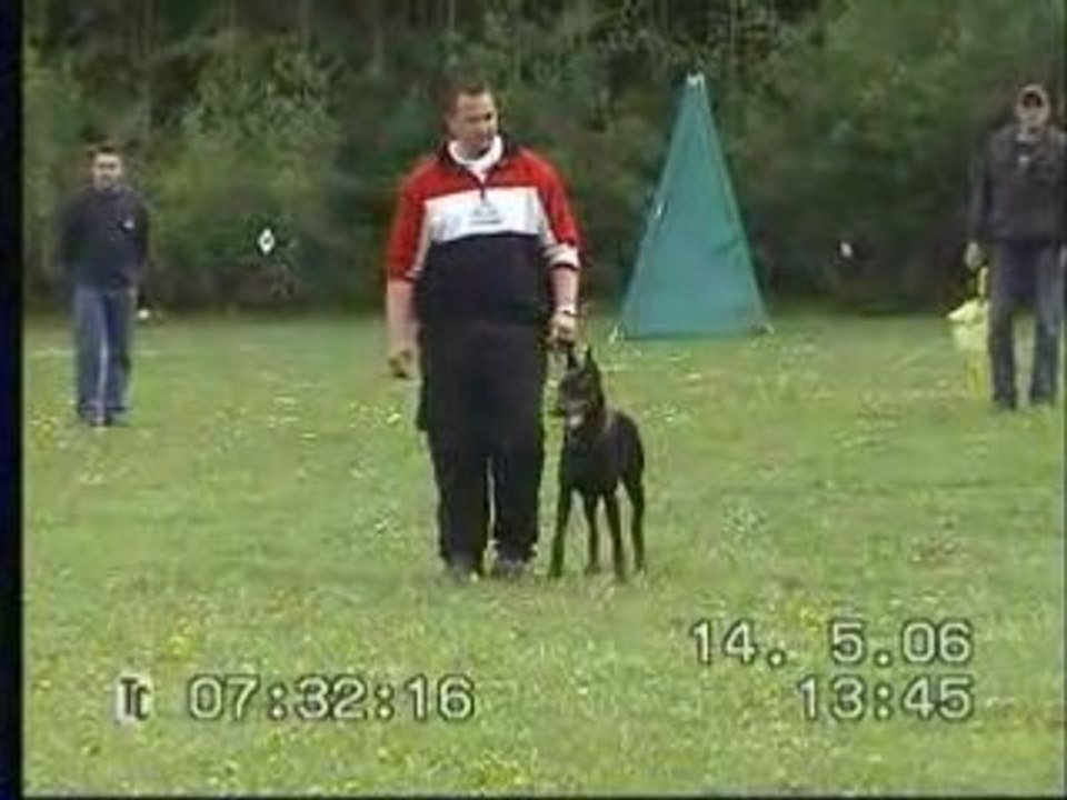 ZTP von Irinland Odelle Odana