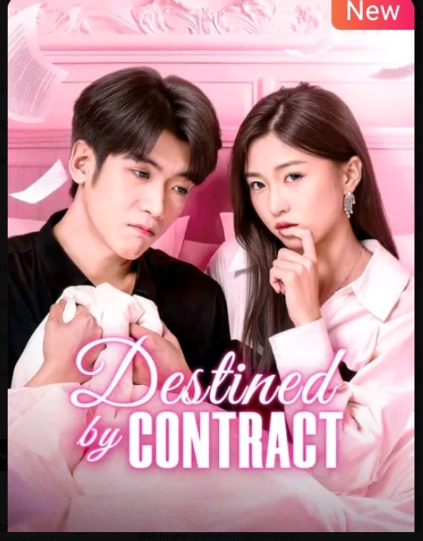 ⁣Destined by Contract Drama Movies English Sub