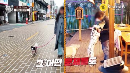 [티저] "어떤 문제들도 다 고쳐드립니다" 멘털 털린 강형욱(?) 골때리는 1기, 들개의 후예들 커밍쑨~!