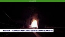 Nigeria : frappes américaines contre l'Etat islamique