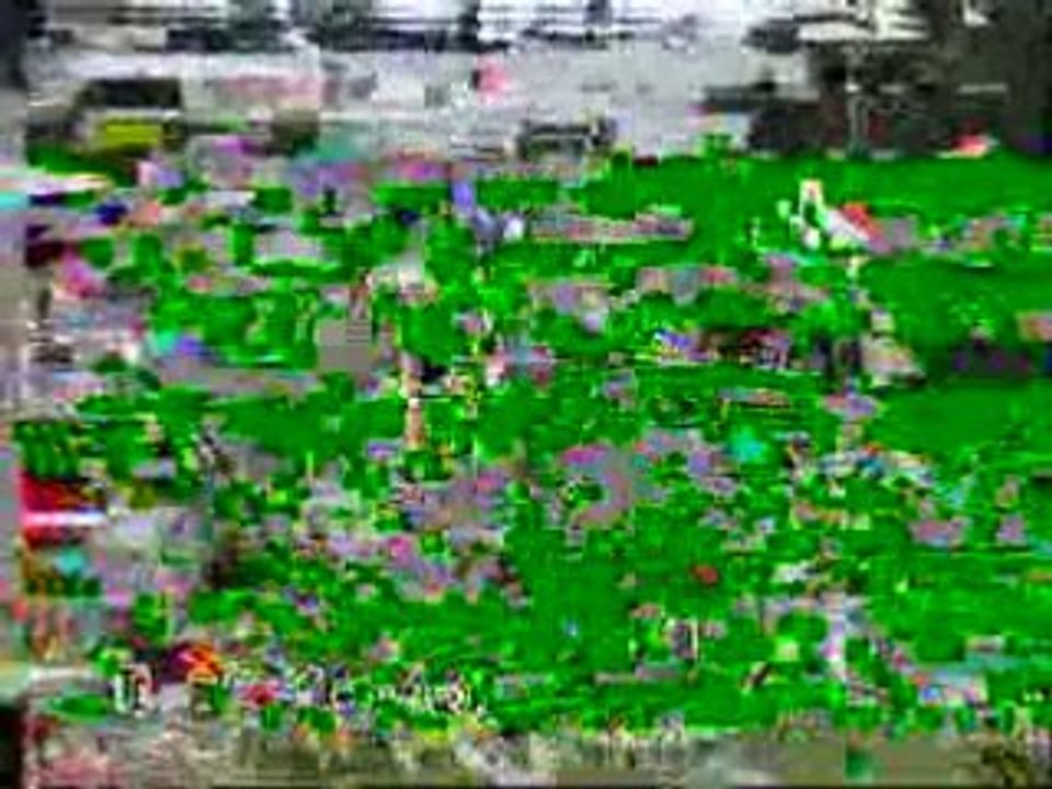 ZTP von Irinland Odelle Odana