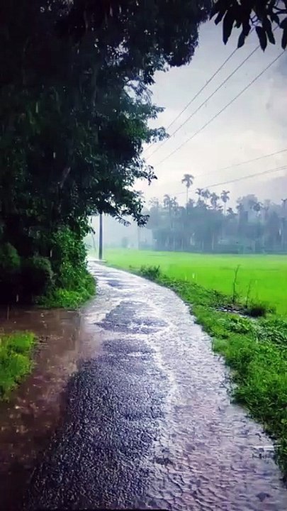 Rainy Roads & Mountain Vibes 🌧️🏔️ | Peaceful Nature Short