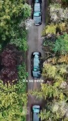 Reborn to Seize the Bouquet Drama Movies English Sub