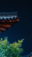 She Played Her Cards, He Lost His Heart