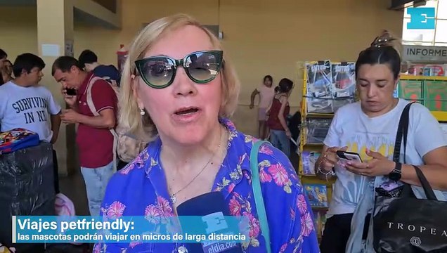 Viajes petfriendly, las mascotas podrán viajar en micros de larga distancia