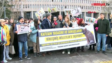 Çöp poşetlerinde ölü köpek iddiası Ankara’yı karıştırdı! Barınak görüntüleri tepki çekti