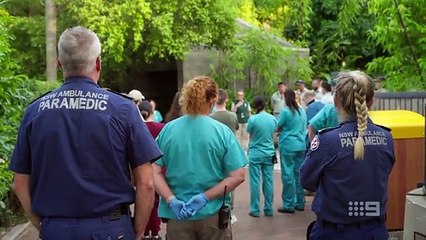 Taronga- Whos Who in the Zoo - Season 6 Episode 01- Elephant Special