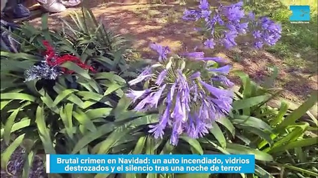 Brutal crimen en Navidad, un auto incendiado, vidrios destrozados y el silencio tras una noche de terror