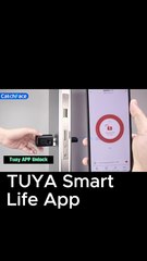This video shows a V1 Pro+ Smart Door Lock with fingerprint, password and RFID card access. It supports TUYA / Smart Life App and is ideal for home and office security