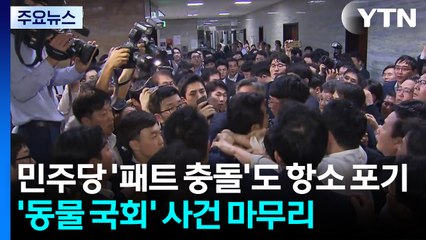 검찰, 민주당 '패트 충돌'도 항소 포기...'동물 국회' 사건 마무리 / YTN