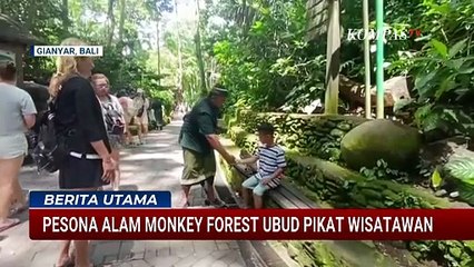 Keindahan Pesona Alam Monkey Forest Ubud Digemari Wisatawan | BERITA UTAMA