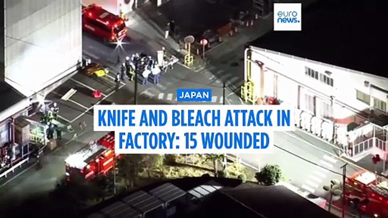 At least 15 injured in chemical attack and stabbing at Japan tyre factory