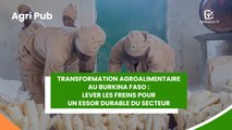 Agri Pub :  Transformation agroalimentaire au Burkina Faso, lever les freins pour un essor durable du secteur