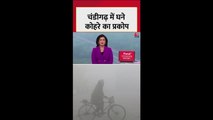 चंडीगढ़ में घने कोहरे का प्रकोप, जानें मौसम का हाल