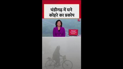 चंडीगढ़ में घने कोहरे का प्रकोप, जानें मौसम का हाल