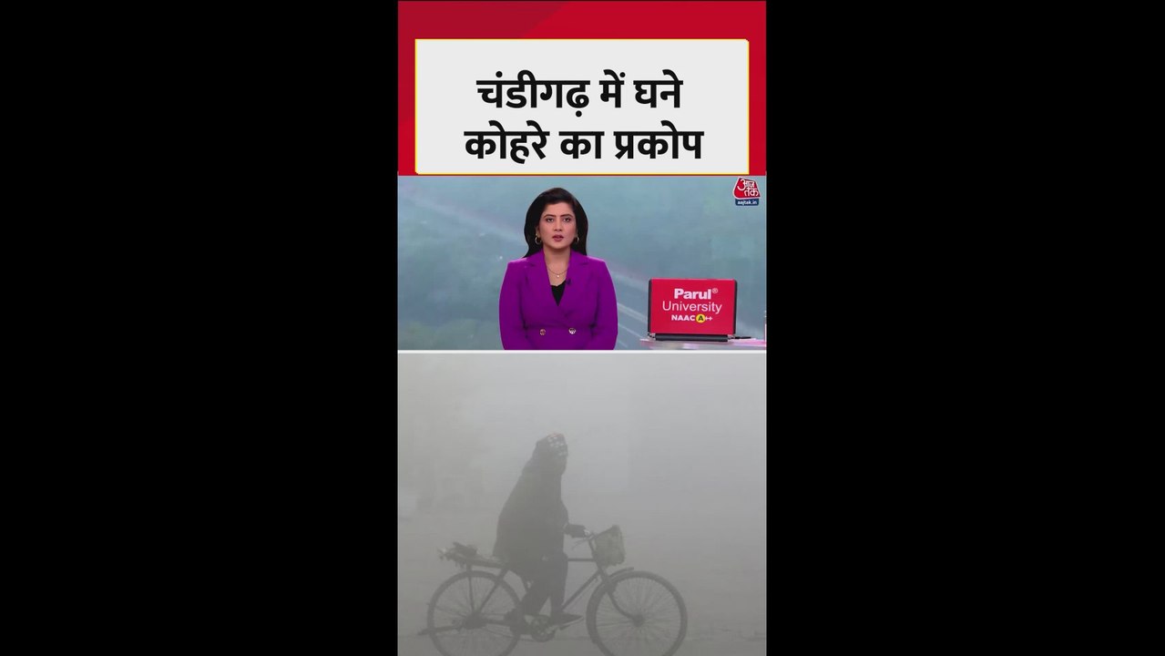 चंडीगढ़ में घने कोहरे का प्रकोप, जानें मौसम का हाल