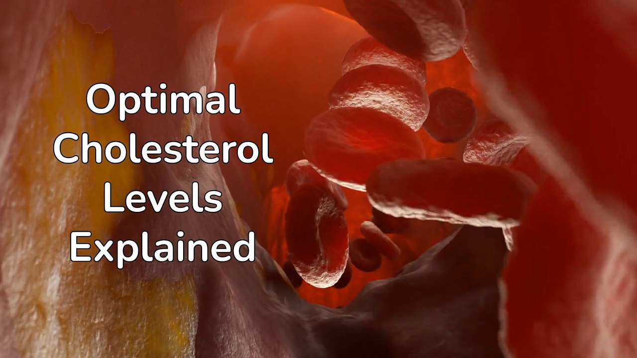 Optimal Cholesterol Levels Explained