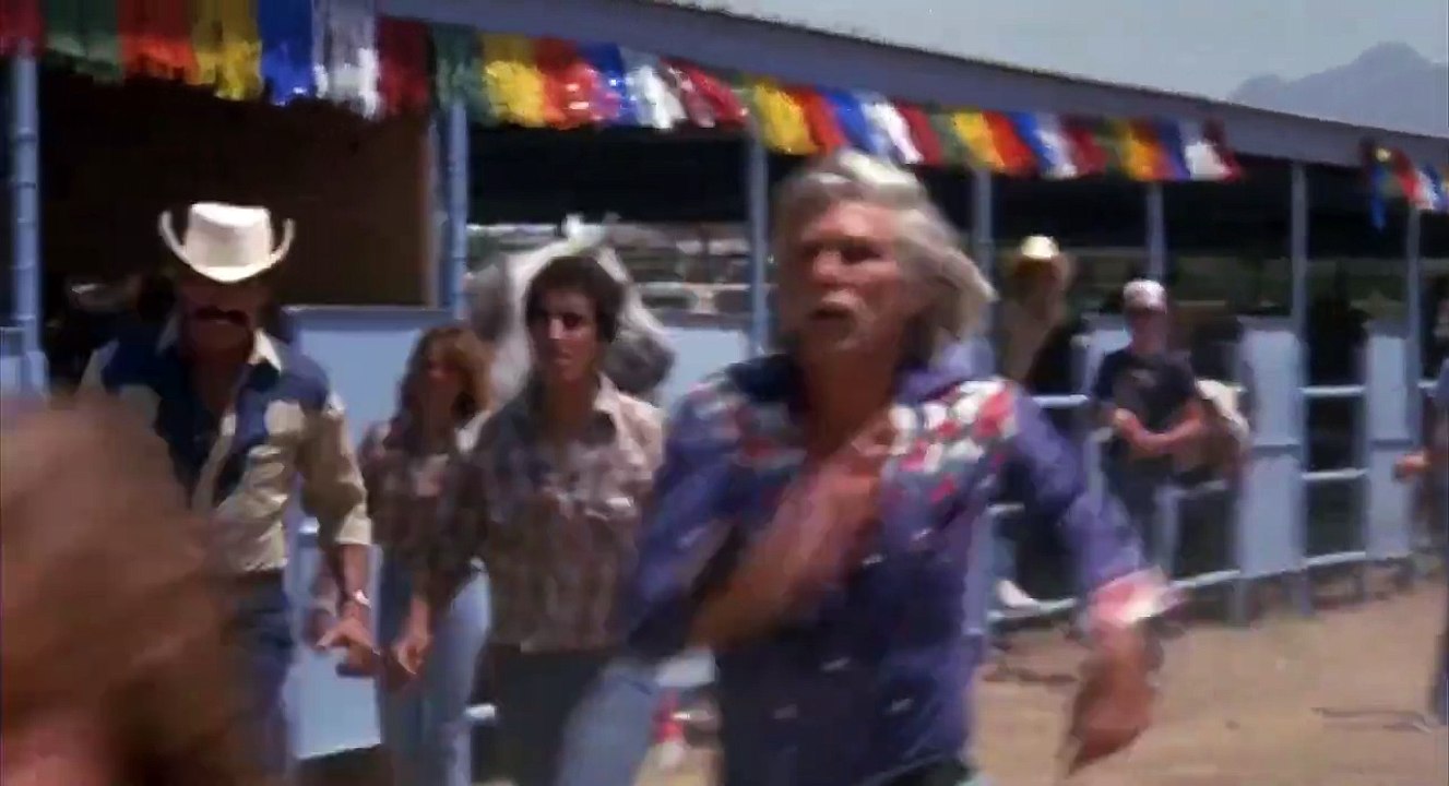 Lone Wolf McQuade