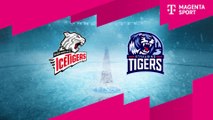 Highlights von Nürnberg Ice Tigers - Straubing Tigers