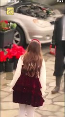 Mistaken Surrogacy Christmas Destiny Completed