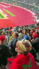 من المدرجات.. فرحة الجماهير المصرية والمغربية بفوز الفراعنة على جنوب إفريقيا