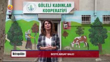 JIN TV |METROPOLDEN-Beste Argat Balcı-Göleli Kadınlar Kooperatifi