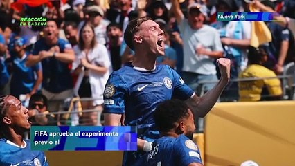 Reacción en cadena - miércoles 24 de diciembre 2025