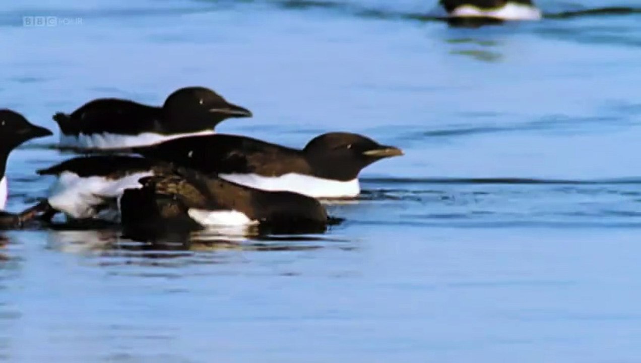 Microworlds 06of13 Svalbard