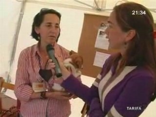 FIESTA JOVEN 2008 TARIFA