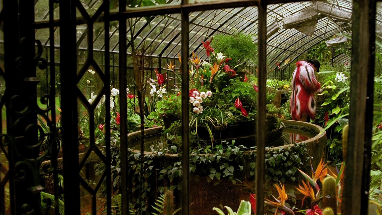 The Fall - Im Reich der Fantasie