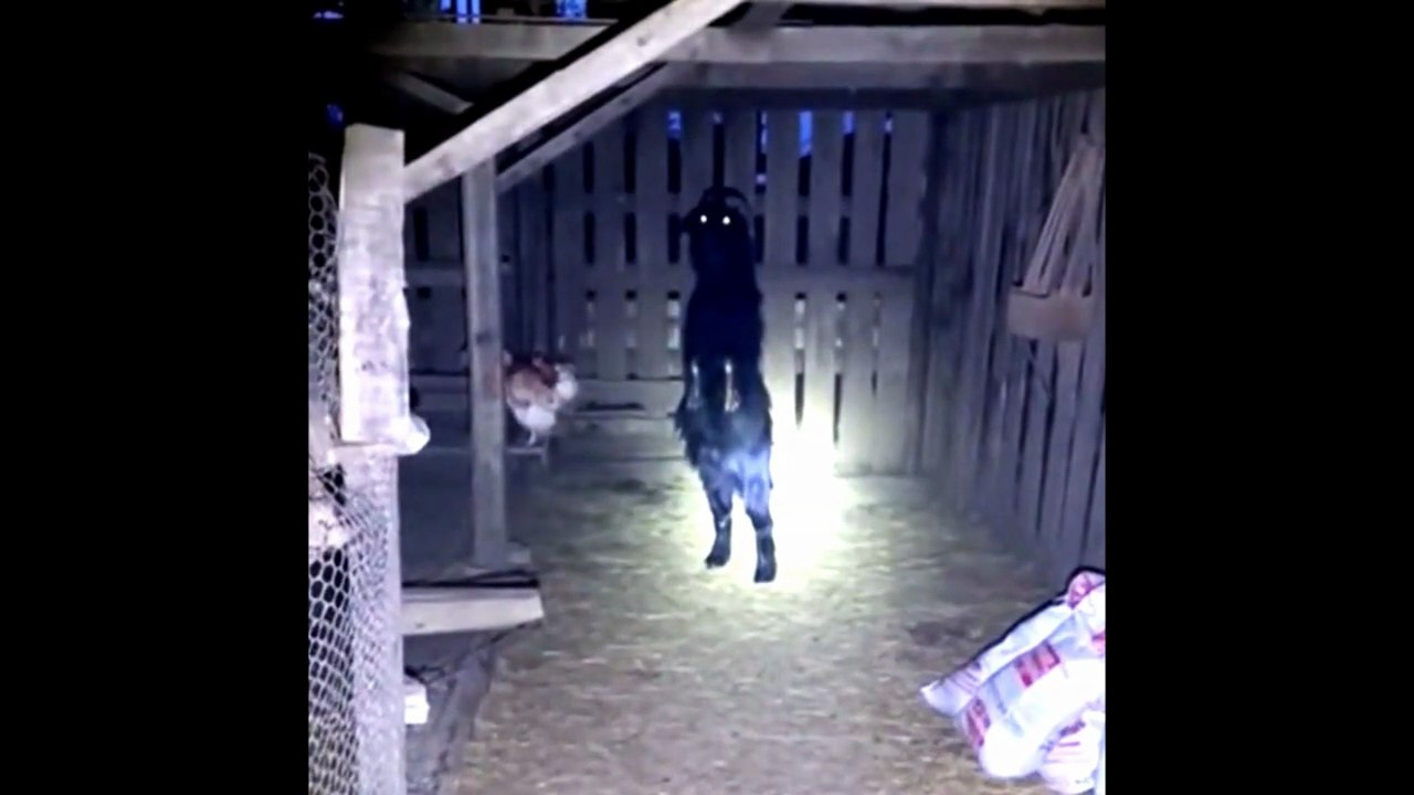 TOP 5 Videos De Fantasmas y Actividad Paranormal Que Nunca Has Visto