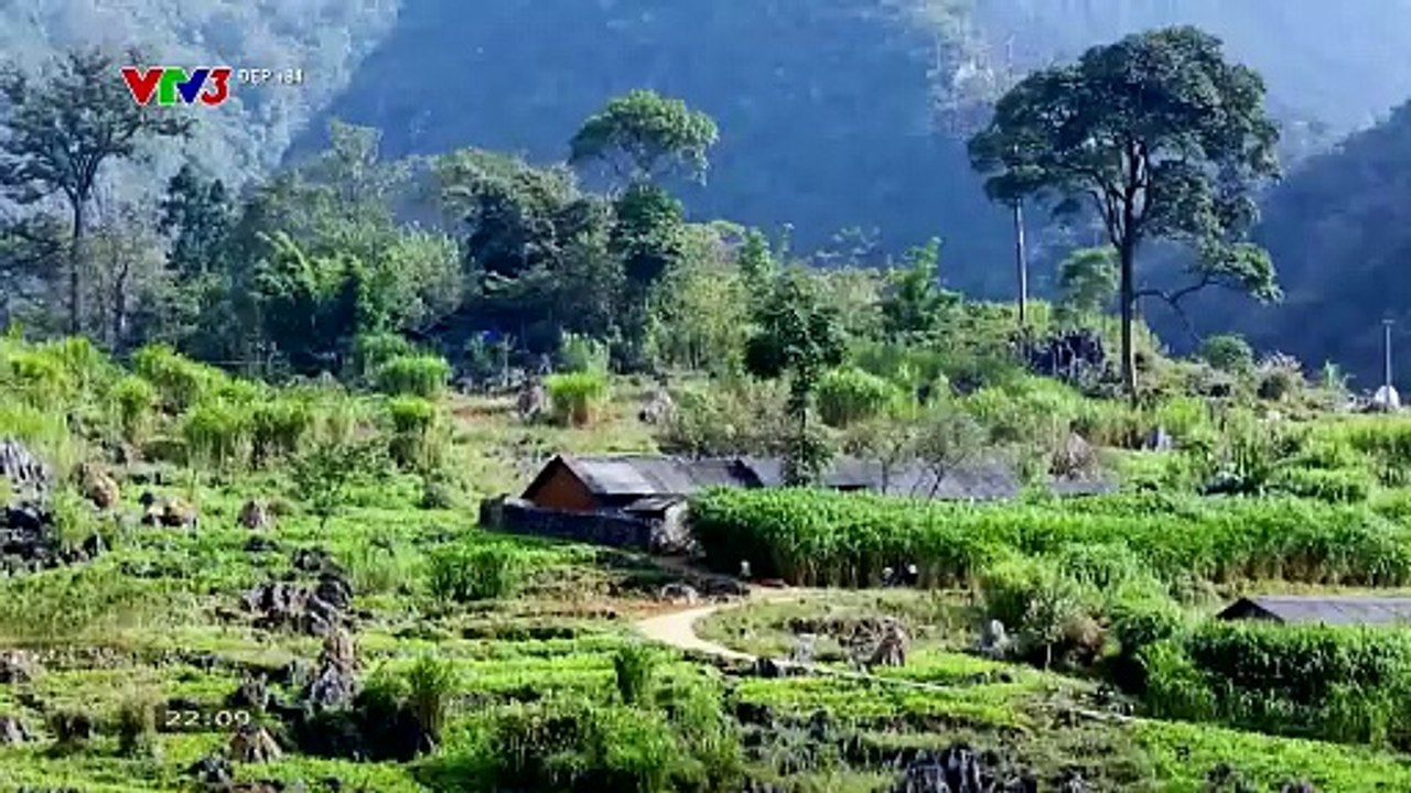 VTV3 - Đẹp +84 - Số 215 (26/12/2025) [FULL]