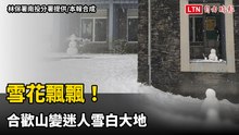 雪花飄飄！合歡山變迷人雪白大地
