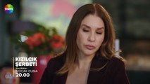 Kızılcık Şerbeti 121.Bölüm - Kızılcık Şerbeti - Sezon 4 - Bölüm 121 - Fragman