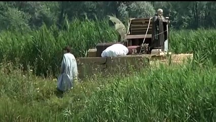 Le strelle nel fosso Pupi Avati 1978