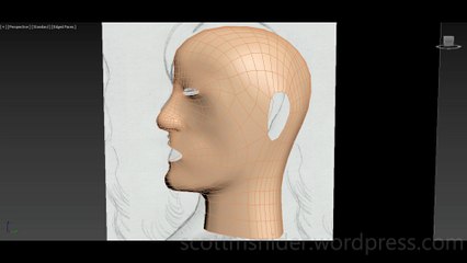 Flame: 3DS MAX Practice Polygon Modeling Head Model Video #27 (12-26-2025)