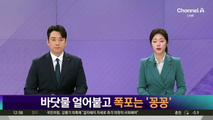 바닷물 얼어붙고 폭포는 ‘꽁꽁’