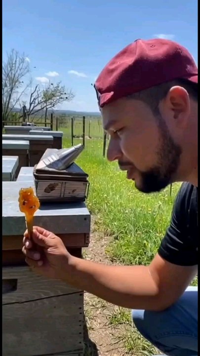 se me olvidó el humo🤣🍯🐝