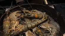 露營活動