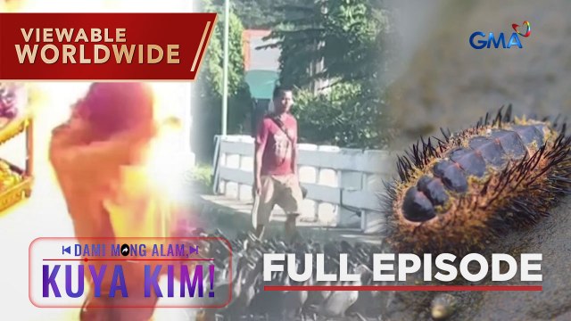 Mga insidente ng pagsabog, paano maiiwasan?; Kakaibang seafood, alamin! | Dami Mong Alam, Kuya Kim!