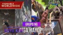 Mga grupo ng hayop, kinagigiliwan online! | Dami Mong Alam, Kuya Kim!