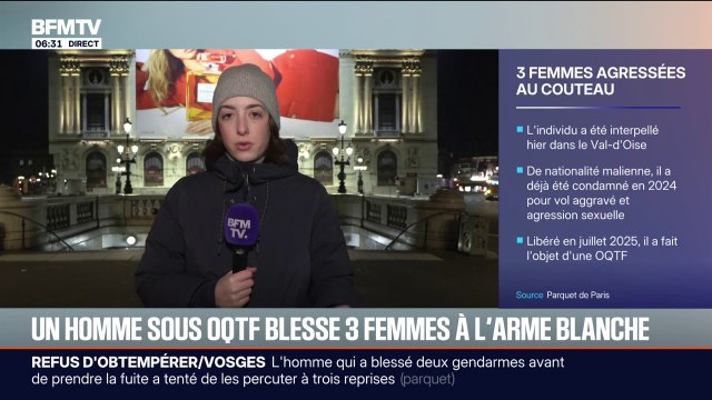 Ce que l'on sait du profil du suspect de l'agression au couteau de trois femmes dans le métro parisien