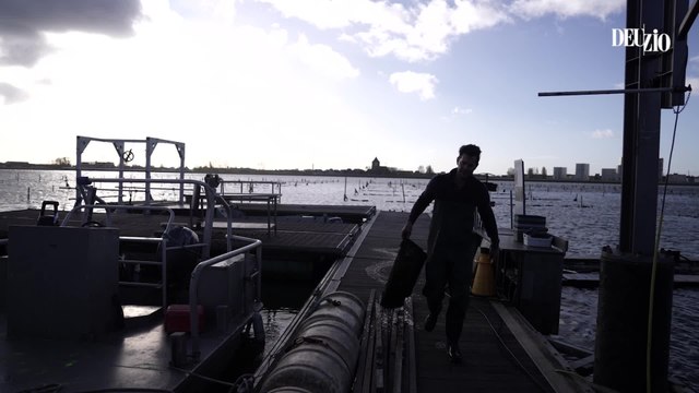 Les huîtres belges existent ? On a visité la seule ferme belge à Ostende