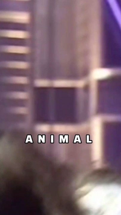 Animal - Def Leppard